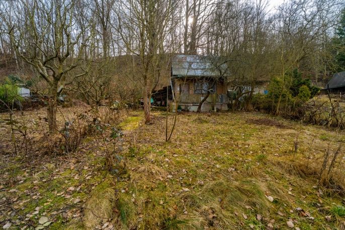 Prodej, Zahrada, Děčín