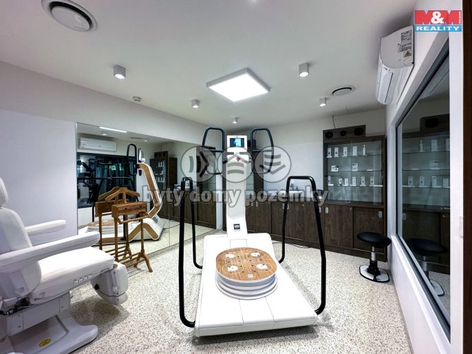 Prodej, Obchod a služby, Praha