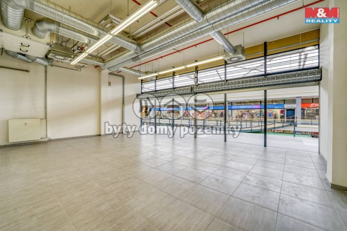 Pronájem, Obchod a služby, Plzeň