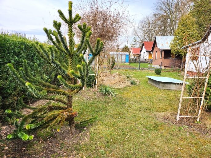 Prodej, Chata, Novosedlice