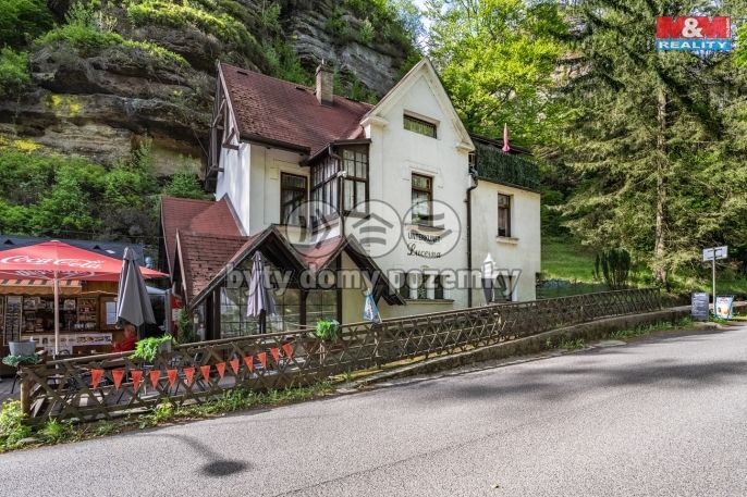 Prodej, Hotel, penzion, Hřensko