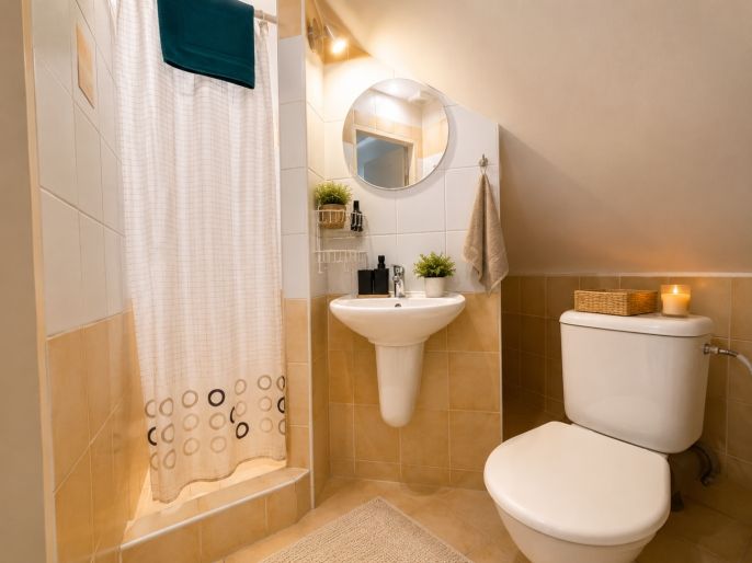 Prodej, Hotel, penzion, Nová Pec