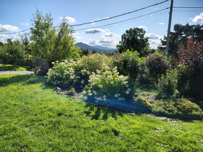 Prodej, Rodinný dům, Slunečná