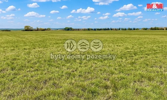 Prodej, Pole, Dolní Roveň