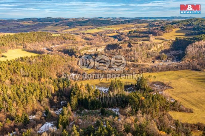 Prodej, Les, Malenice