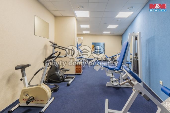 Pronájem, Restaurace, stravování, Malšice