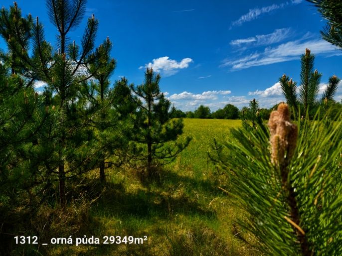 Prodej, Ostatní, Pňov-Předhradí