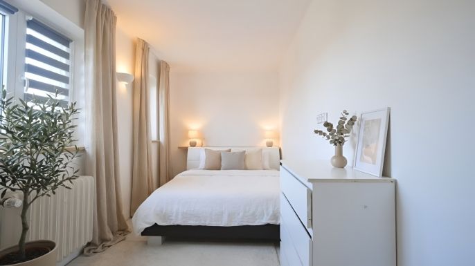 Prodej, Byt 3+kk, Nechanice