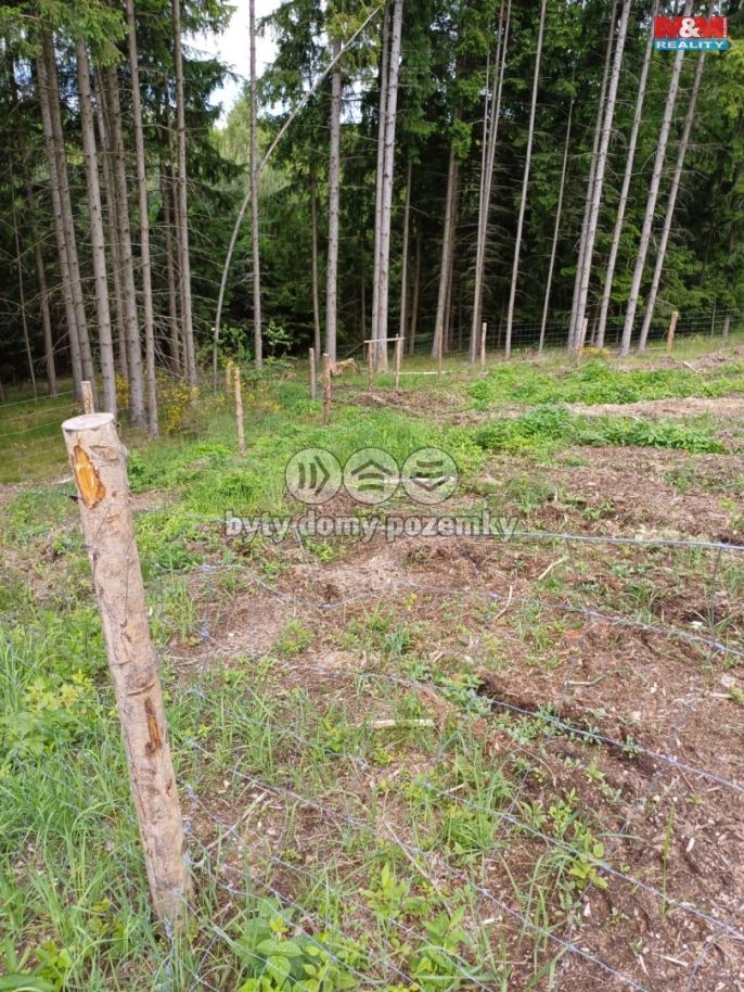 Prodej, Les, Hrazany