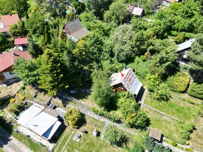 Prodej, Chata, Hluchov