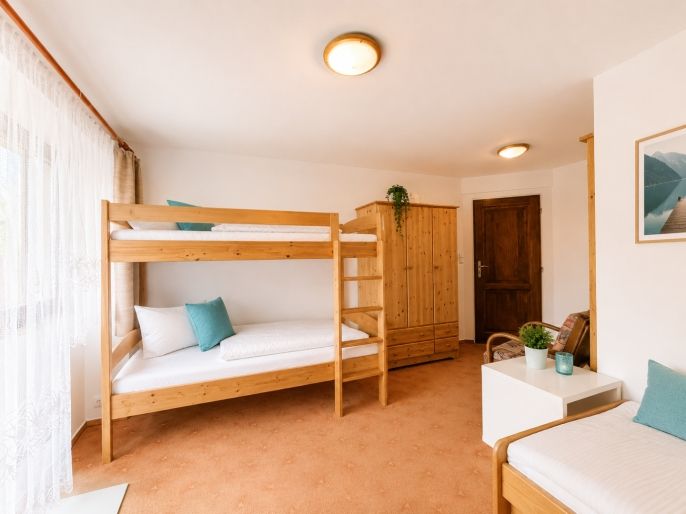 Prodej, Hotel, penzion, Nová Pec