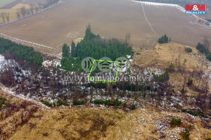 Prodej, Les, Česká Bělá