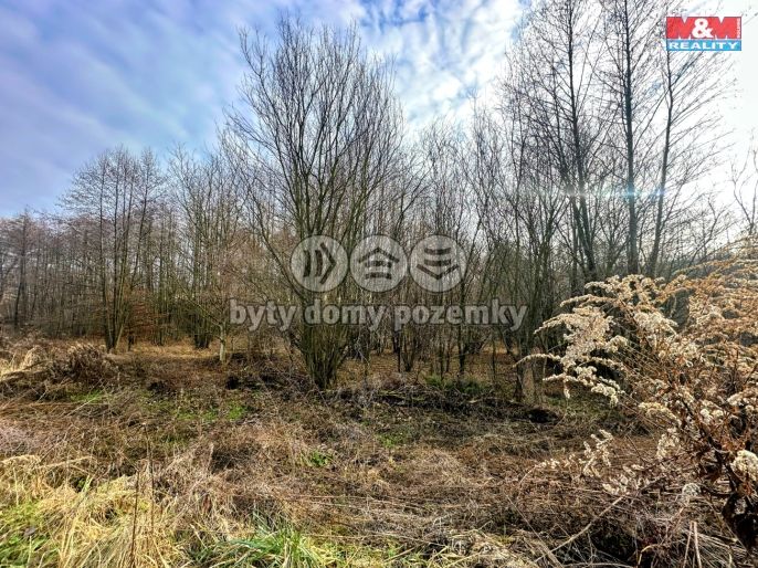 Prodej, Pozemek k bydlení, Petřvald