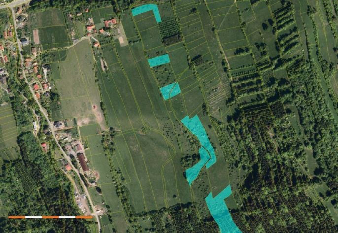 Prodej, Les, Nový Hrozenkov