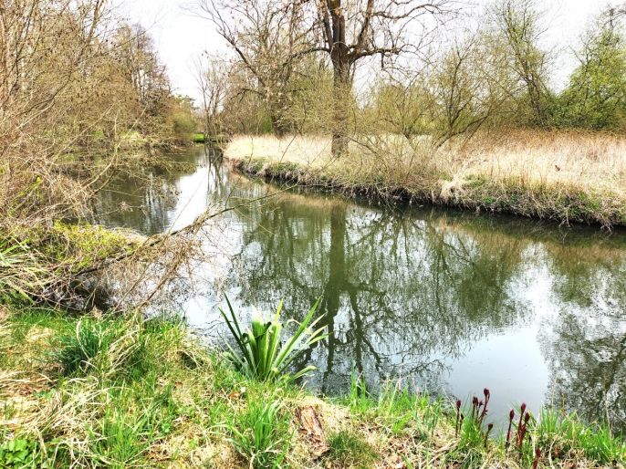 Prodej, Chata, Stružnice