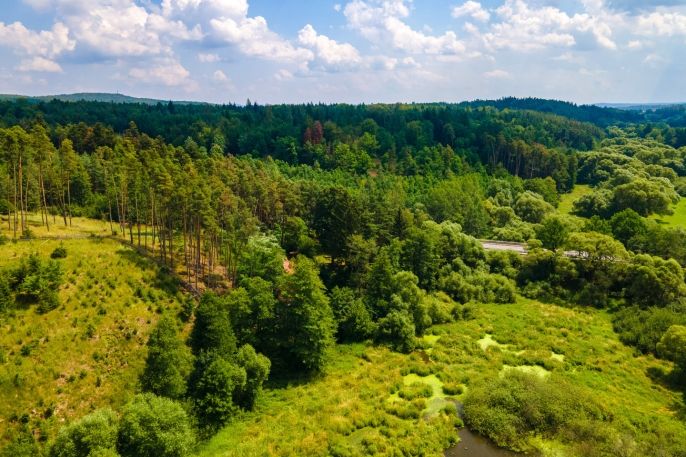 Prodej, Ostatní, Přešťovice