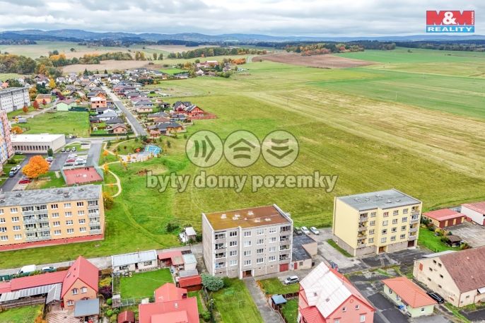 Prodej, Byt 3+1, Bor