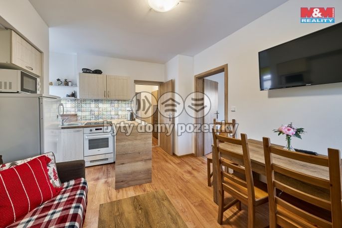 Prodej, Byt 2+1, Černý Důl