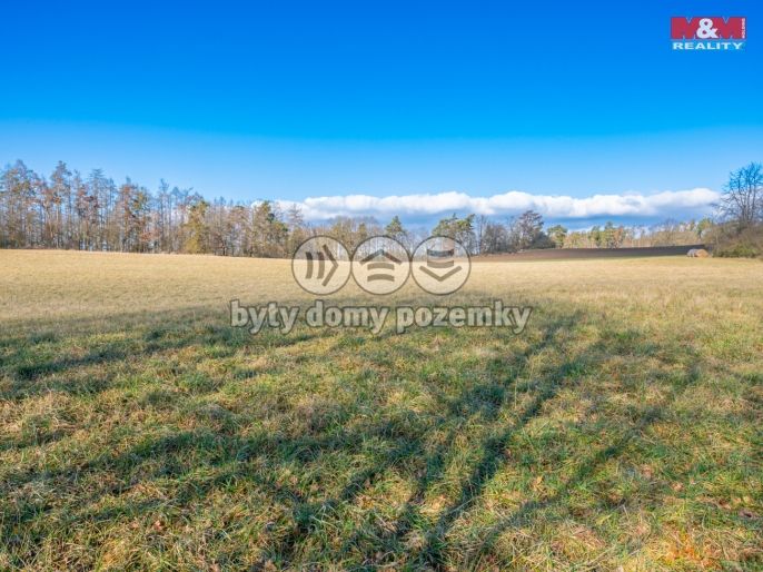 Prodej, Louka, Benešov