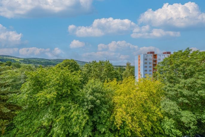 Prodej, Byt 3+1, Sokolov