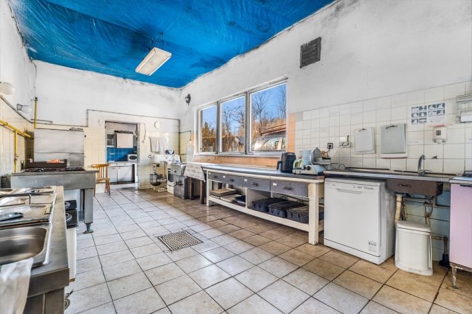 Prodej, Hotel, penzion, Mšeno