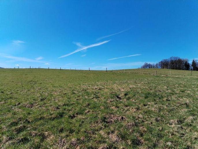 Prodej, Pozemek k bydlení, Krásný Les