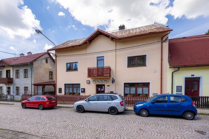 Prodej, Hotel, penzion, Brandýs nad Orlicí