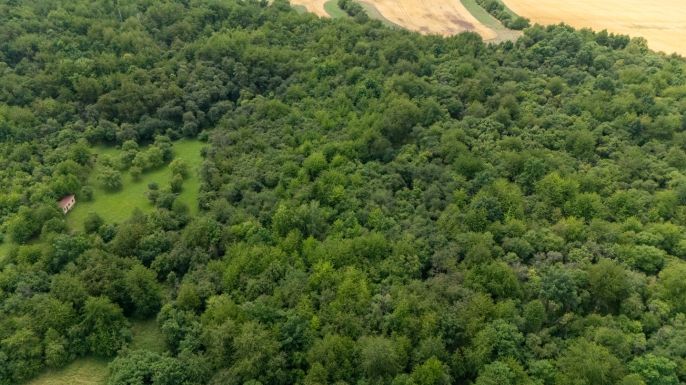 Prodej, Louka, Chabařovice