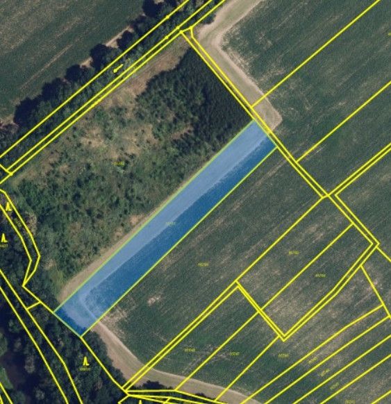 Prodej, Pole, Olomouc