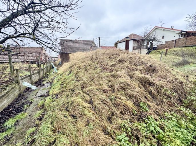 Prodej, Vinný sklep