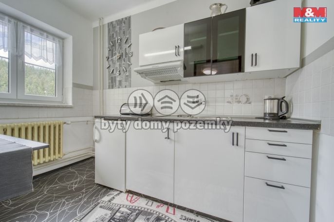 Prodej, Hotel, penzion, Železná Ruda