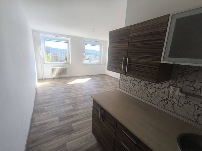 Pronájem, Byt 1+kk, Ústí nad Labem