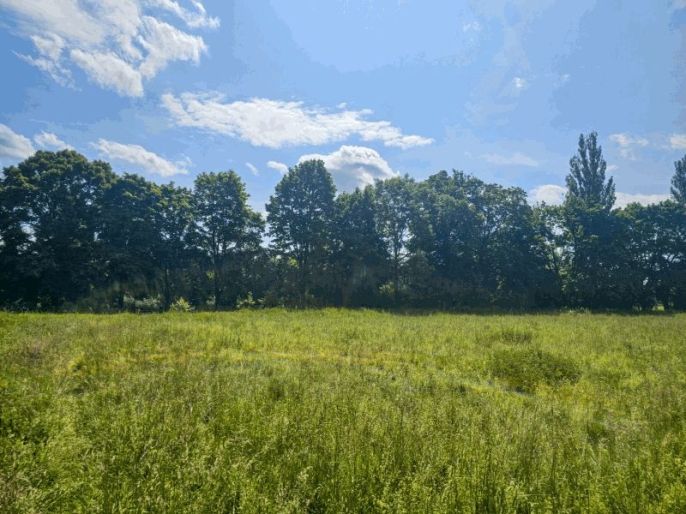 Prodej, Louka, Hradec Králové