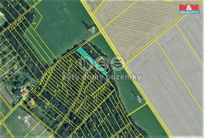 Prodej, Les, Držovice