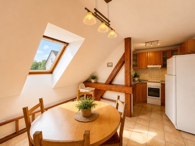 Prodej, Hotel, penzion, Nová Pec