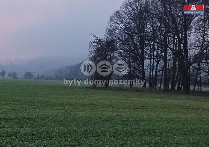 Prodej, Pole, Mnichovo Hradiště