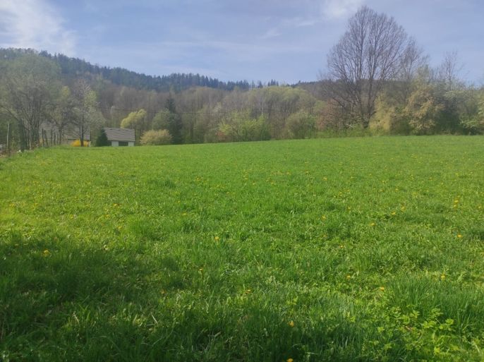 Prodej, Pozemek k bydlení, Velké Losiny