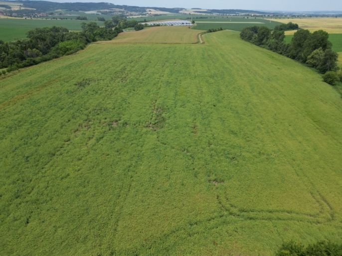 Prodej, Pole, Prostějov