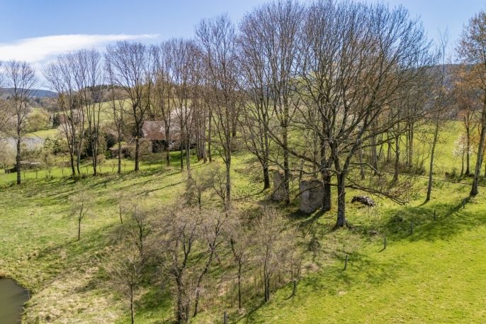 Prodej, Zahrada, Dešenice