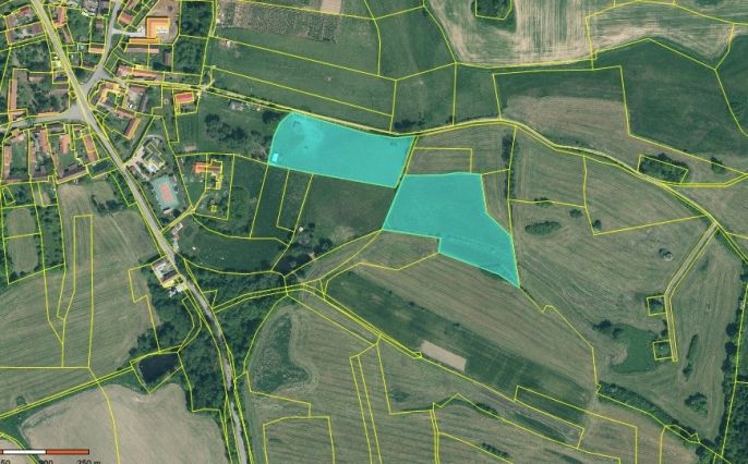 Prodej, Pastvina, Předotice