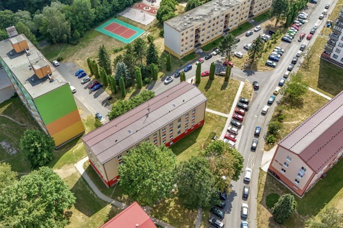 Prodej, Byt 3+1, Planá