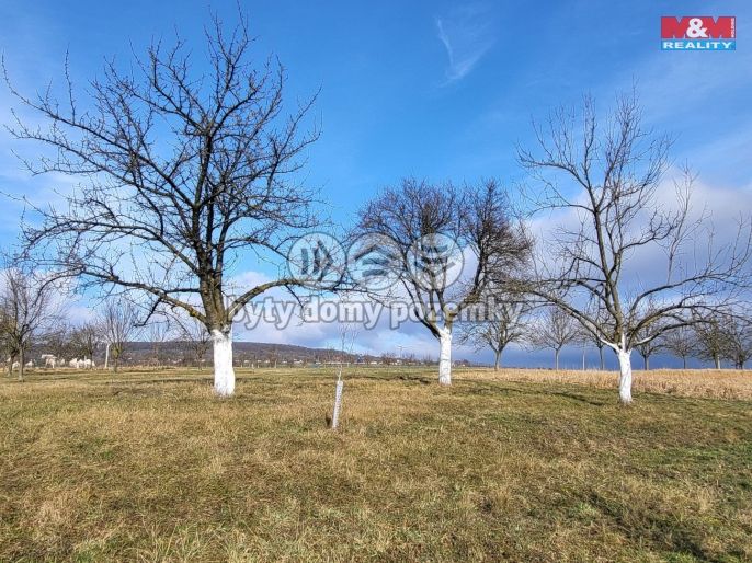 Prodej, Zahrada, Vlčnov