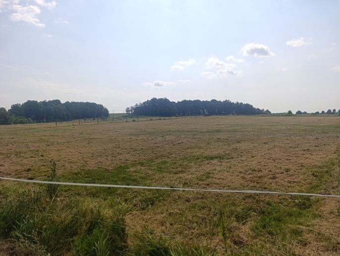 Pronájem, Sklad, Hrádek nad Nisou