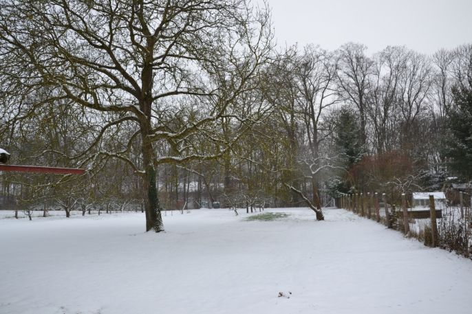 Prodej, Rodinný dům, Vestec