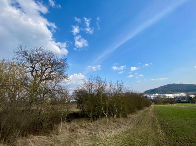 Prodej, Zahrada, Drásov