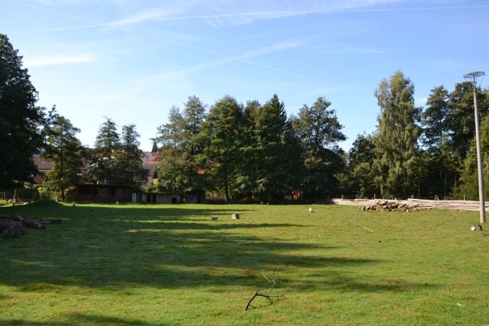 Prodej, Výrobní objekt, Miletín