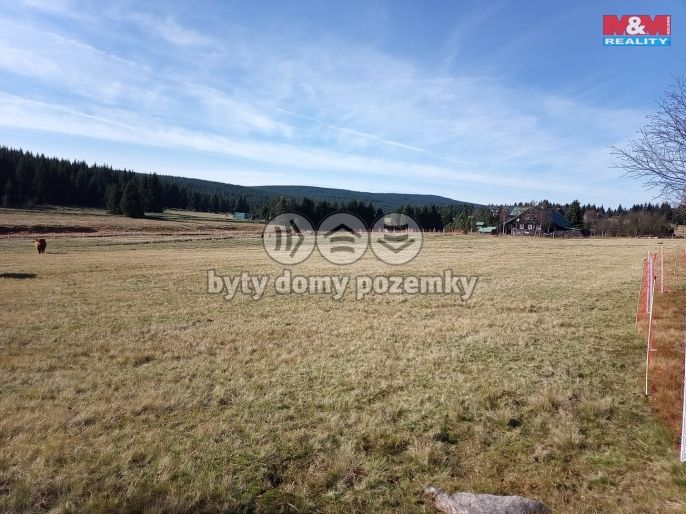 Prodej, Louka, Kořenov