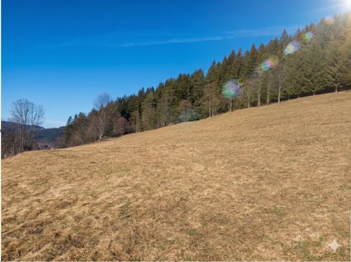 Prodej, Pozemek k bydlení, Korňa