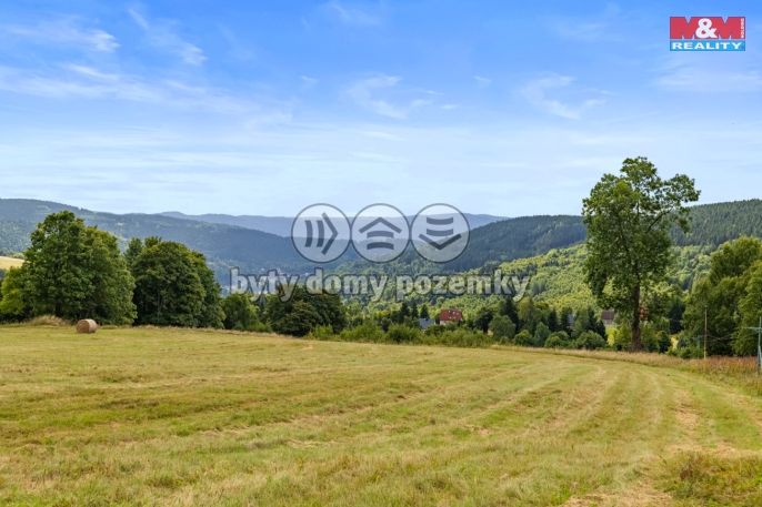 Prodej, Rodinný dům, Jáchymov