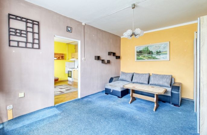 Prodej, Byt 1+1, Litvínov